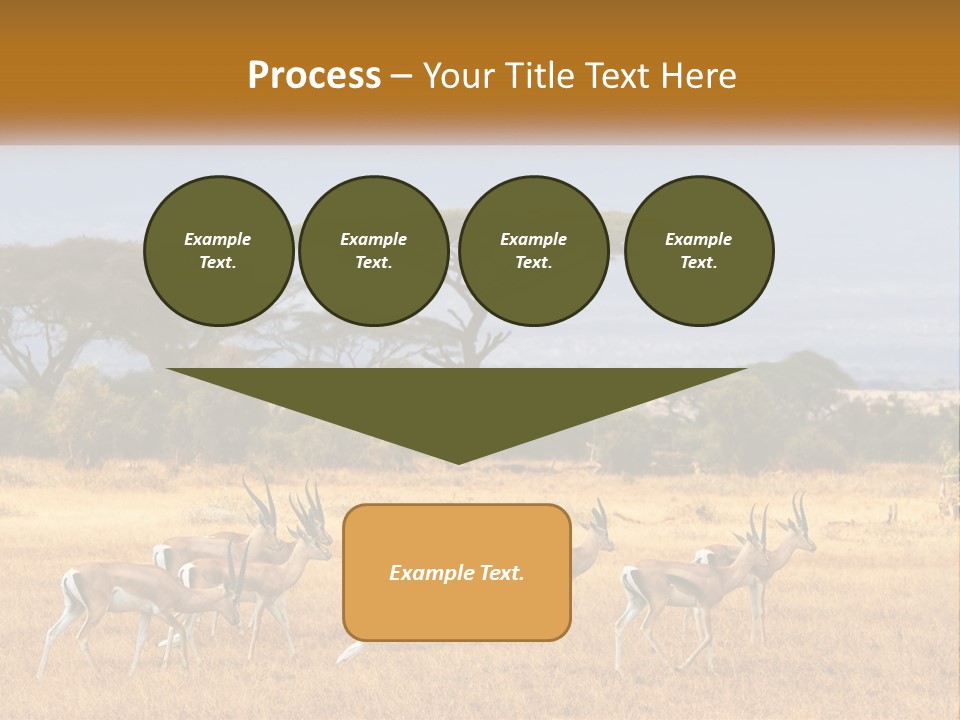 Conditioner Air Switch PowerPoint Template