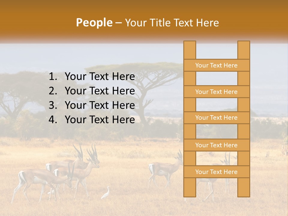 Conditioner Air Switch PowerPoint Template