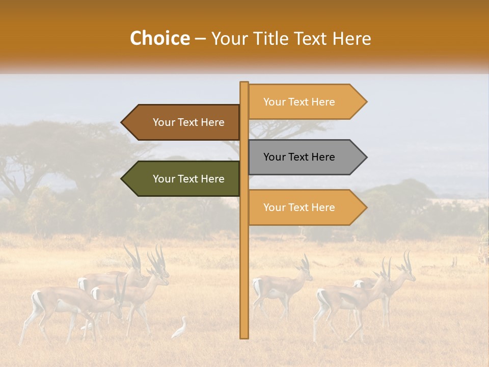 Conditioner Air Switch PowerPoint Template