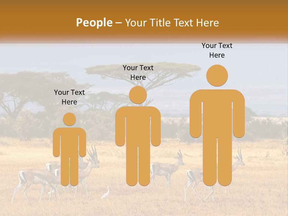 Conditioner Air Switch PowerPoint Template