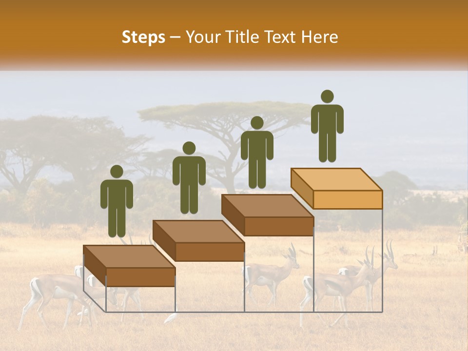 Conditioner Air Switch PowerPoint Template