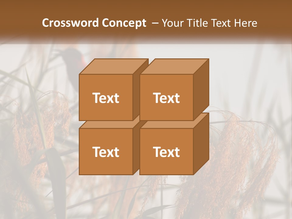 Home White Heat PowerPoint Template