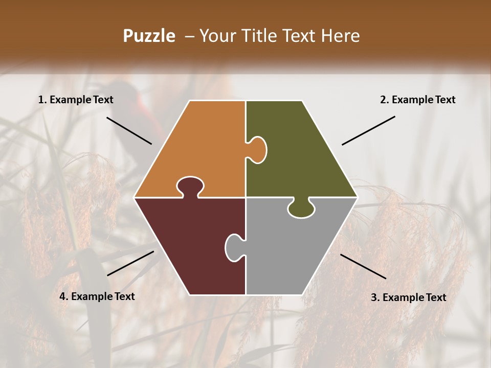 Home White Heat PowerPoint Template