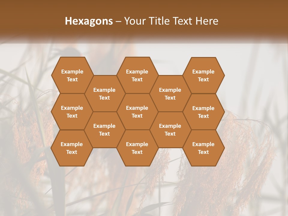 Home White Heat PowerPoint Template