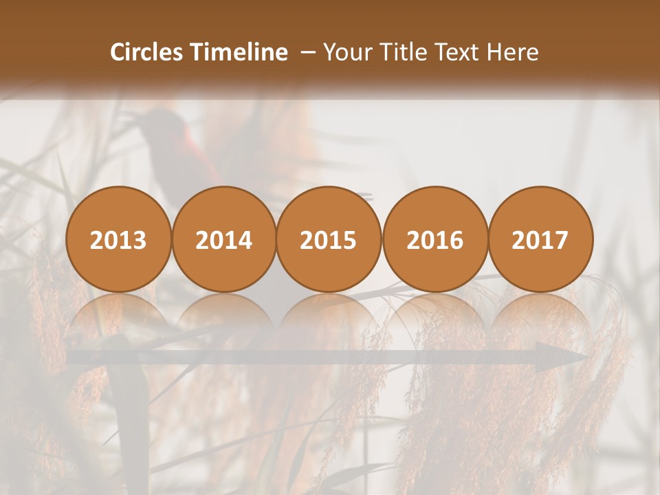 Home White Heat PowerPoint Template