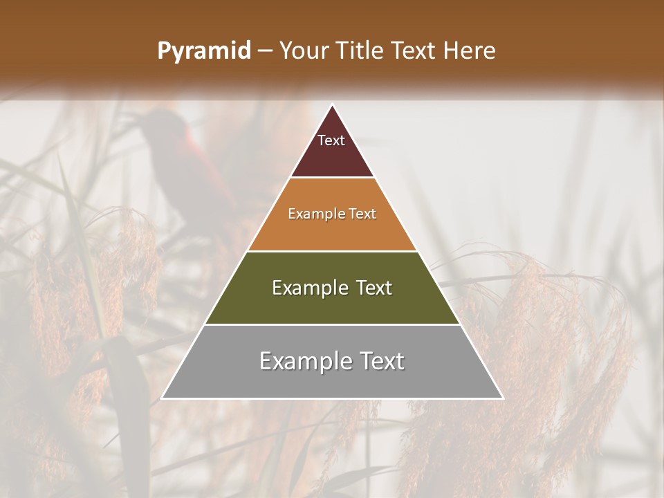 Home White Heat PowerPoint Template