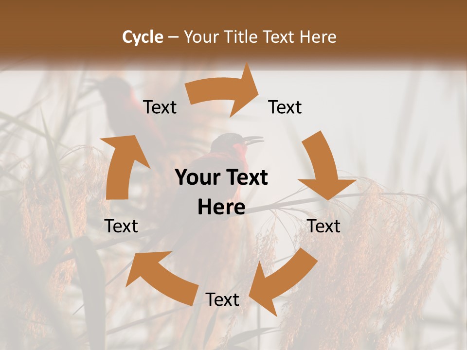 Home White Heat PowerPoint Template