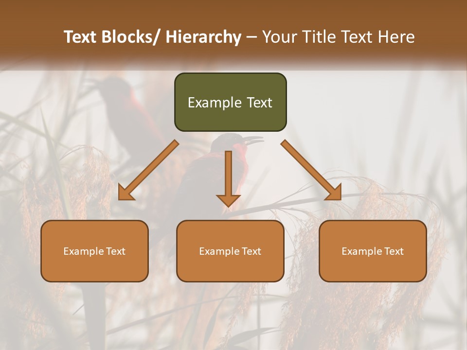 Home White Heat PowerPoint Template