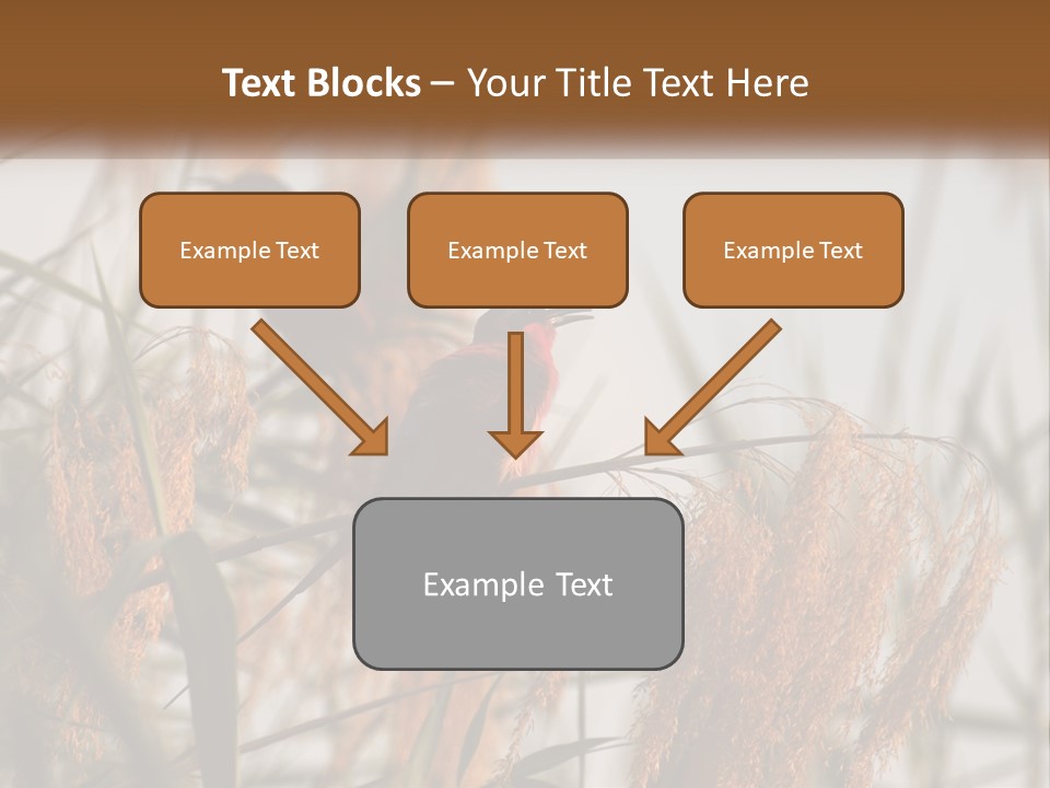 Home White Heat PowerPoint Template