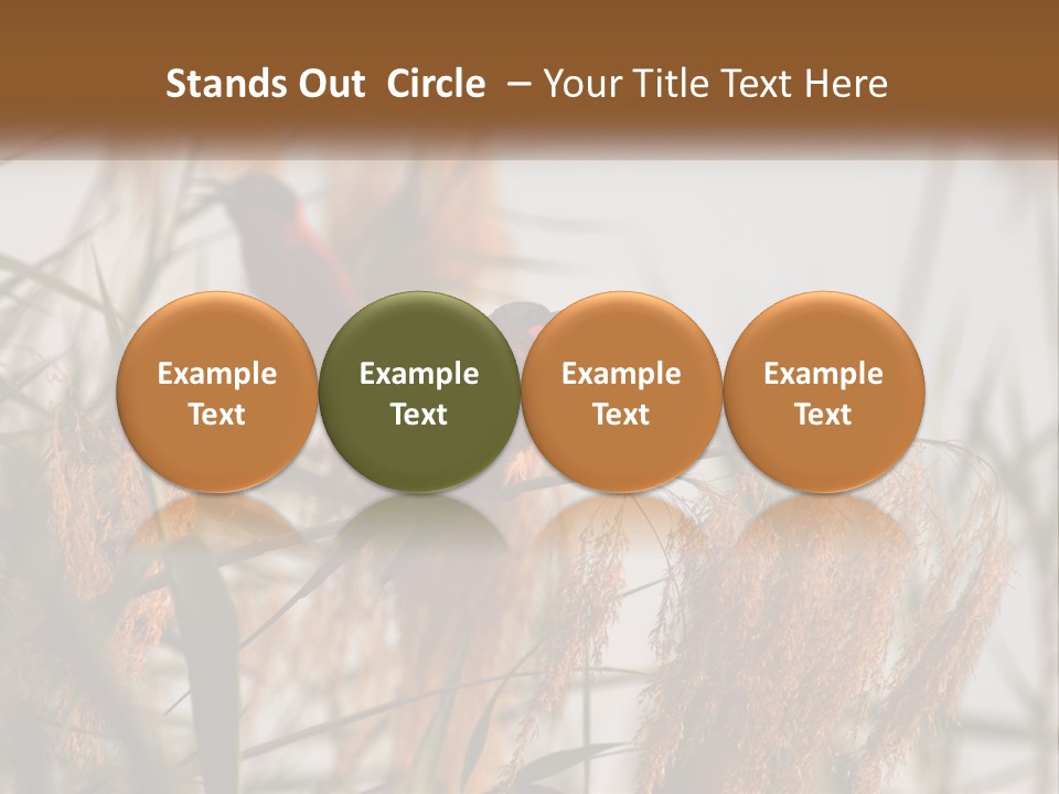 Home White Heat PowerPoint Template