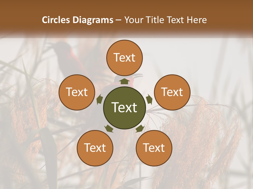 Home White Heat PowerPoint Template