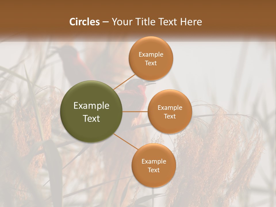 Home White Heat PowerPoint Template