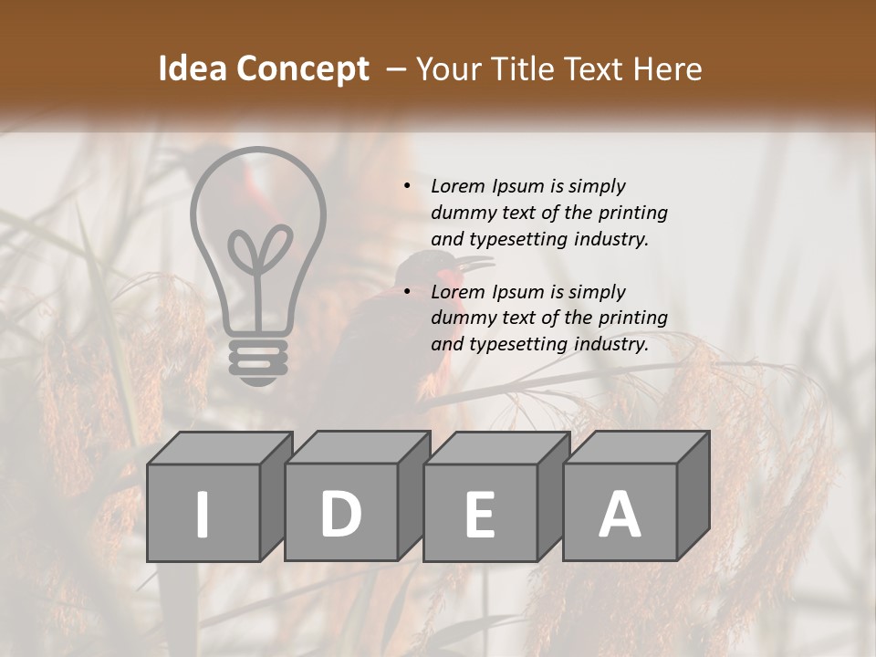 Home White Heat PowerPoint Template