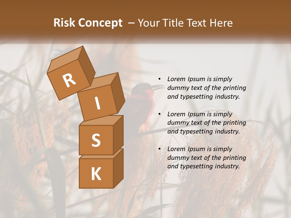 Home White Heat PowerPoint Template