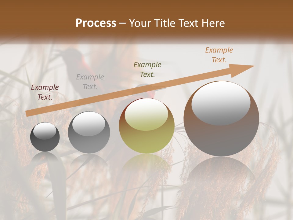 Home White Heat PowerPoint Template