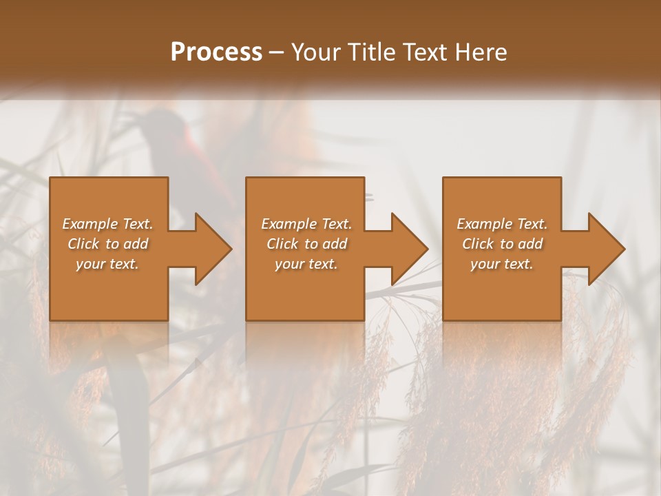 Home White Heat PowerPoint Template