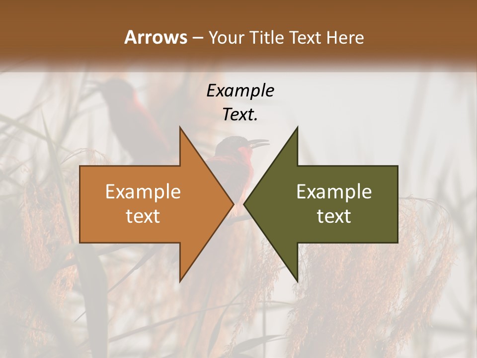 Home White Heat PowerPoint Template