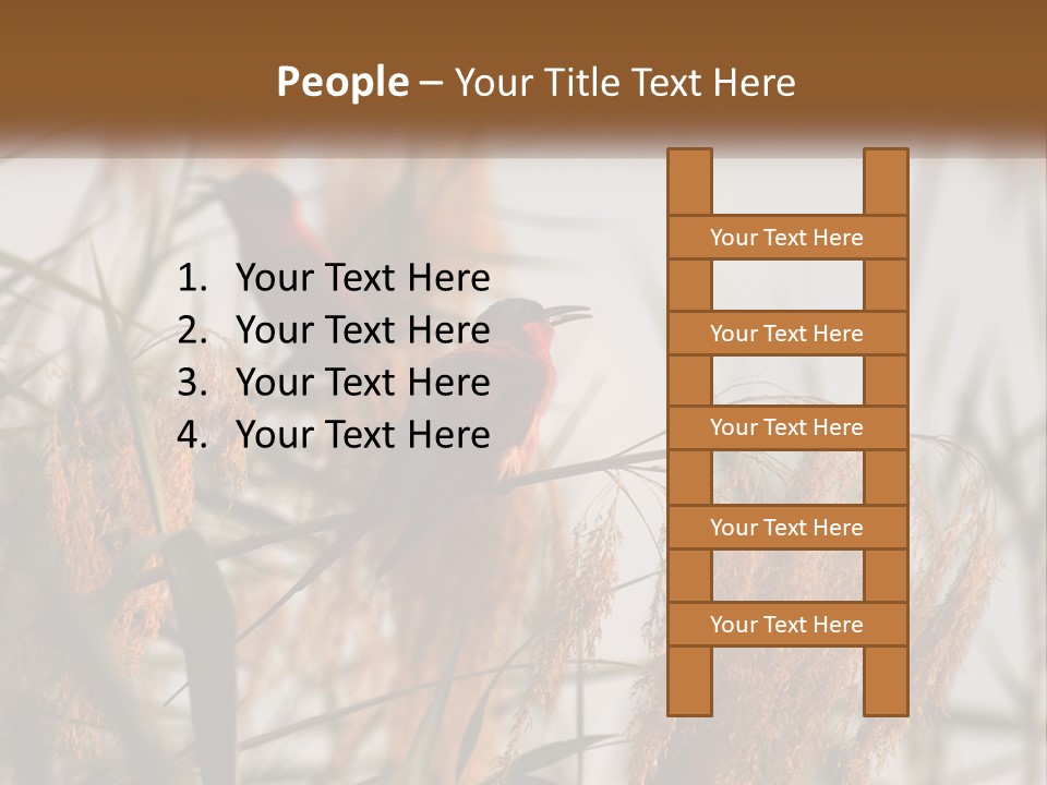 Home White Heat PowerPoint Template