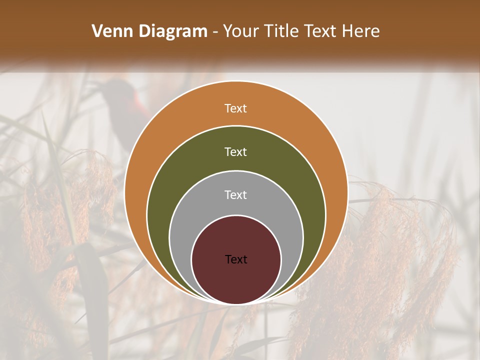 Home White Heat PowerPoint Template