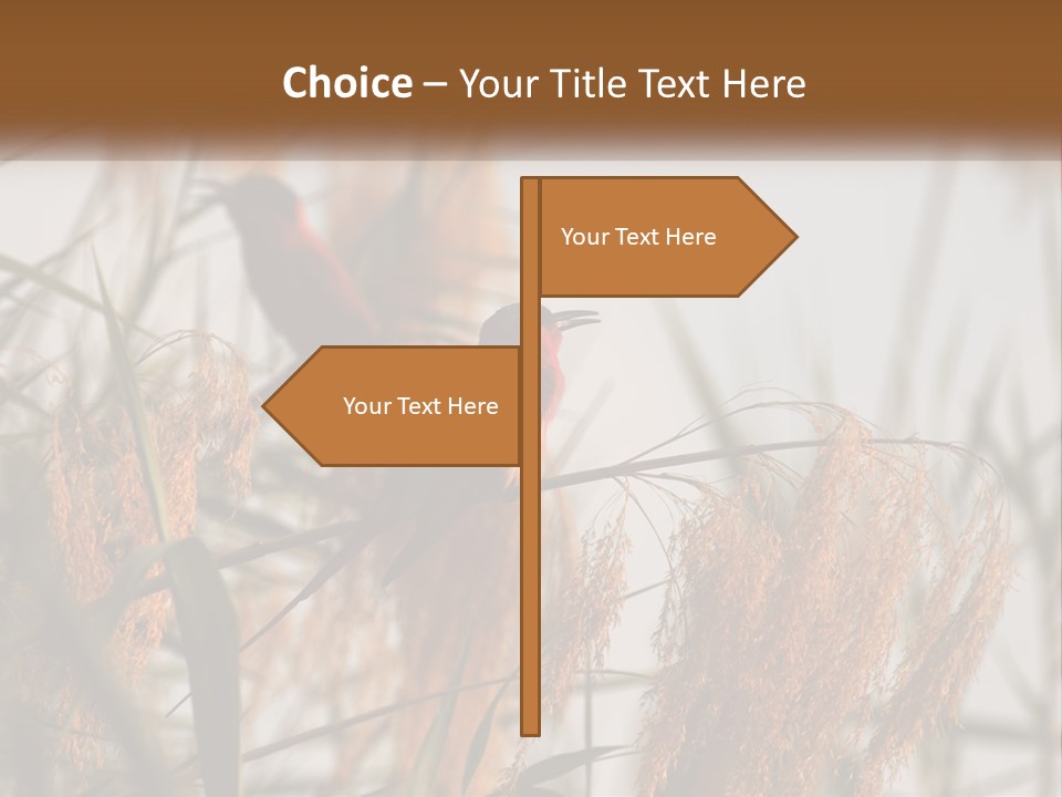 Home White Heat PowerPoint Template