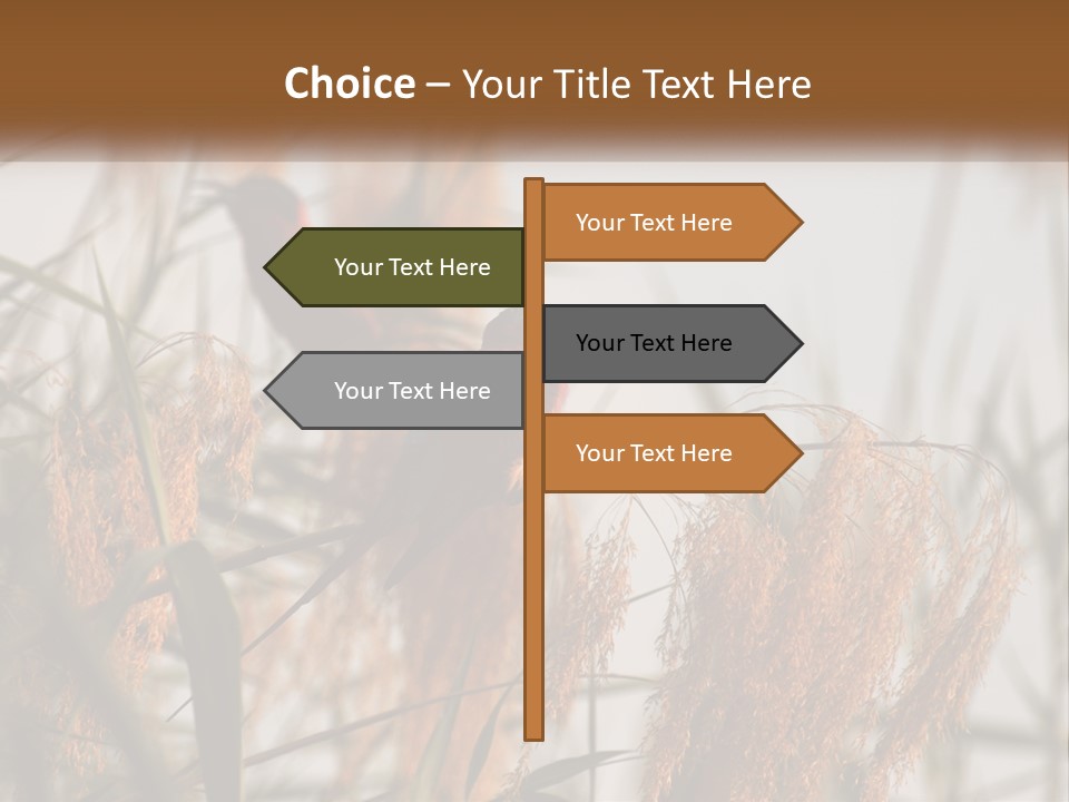 Home White Heat PowerPoint Template