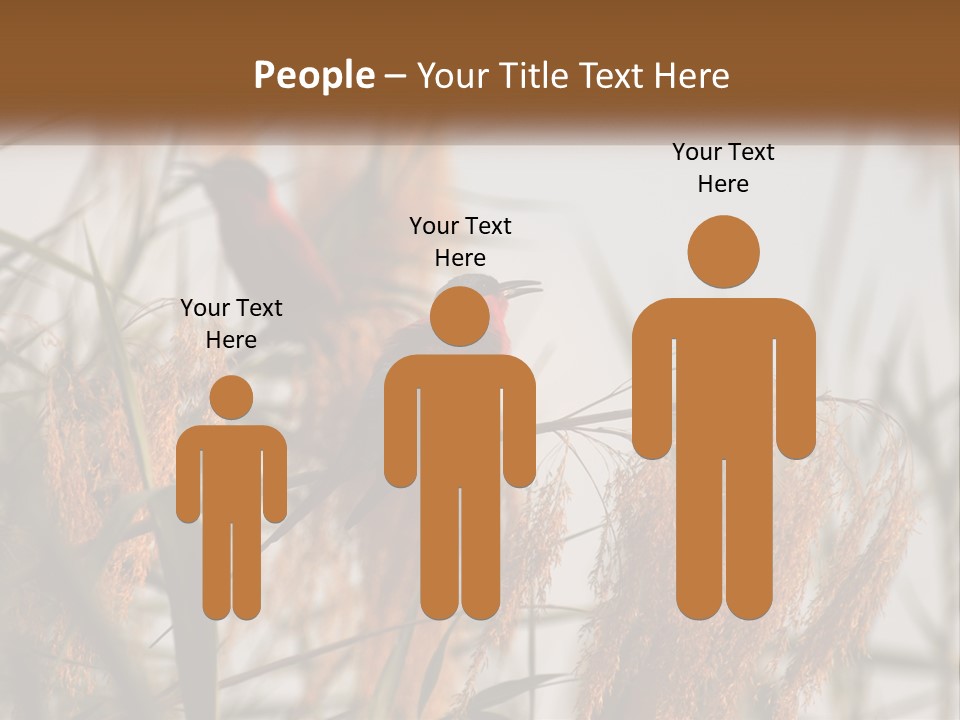 Home White Heat PowerPoint Template