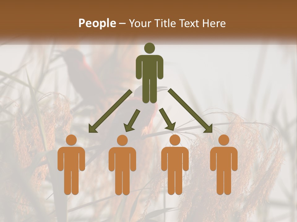 Home White Heat PowerPoint Template