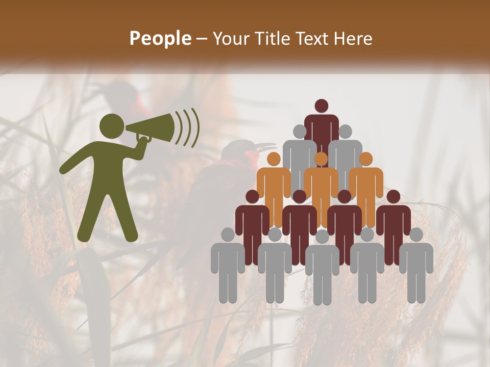 Home White Heat PowerPoint Template