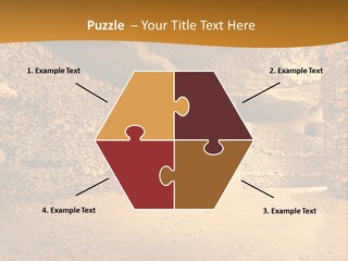 Cool Home Climate PowerPoint Template