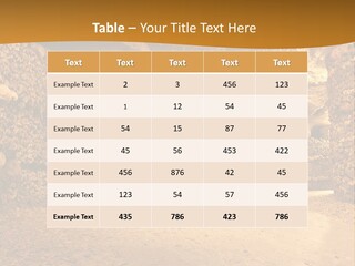 Cool Home Climate PowerPoint Template