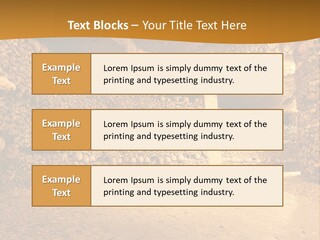 Cool Home Climate PowerPoint Template