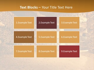Cool Home Climate PowerPoint Template