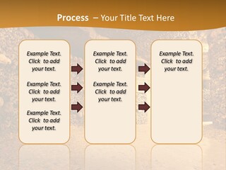 Cool Home Climate PowerPoint Template