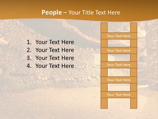 Cool Home Climate PowerPoint Template