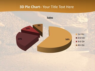 Cool Home Climate PowerPoint Template