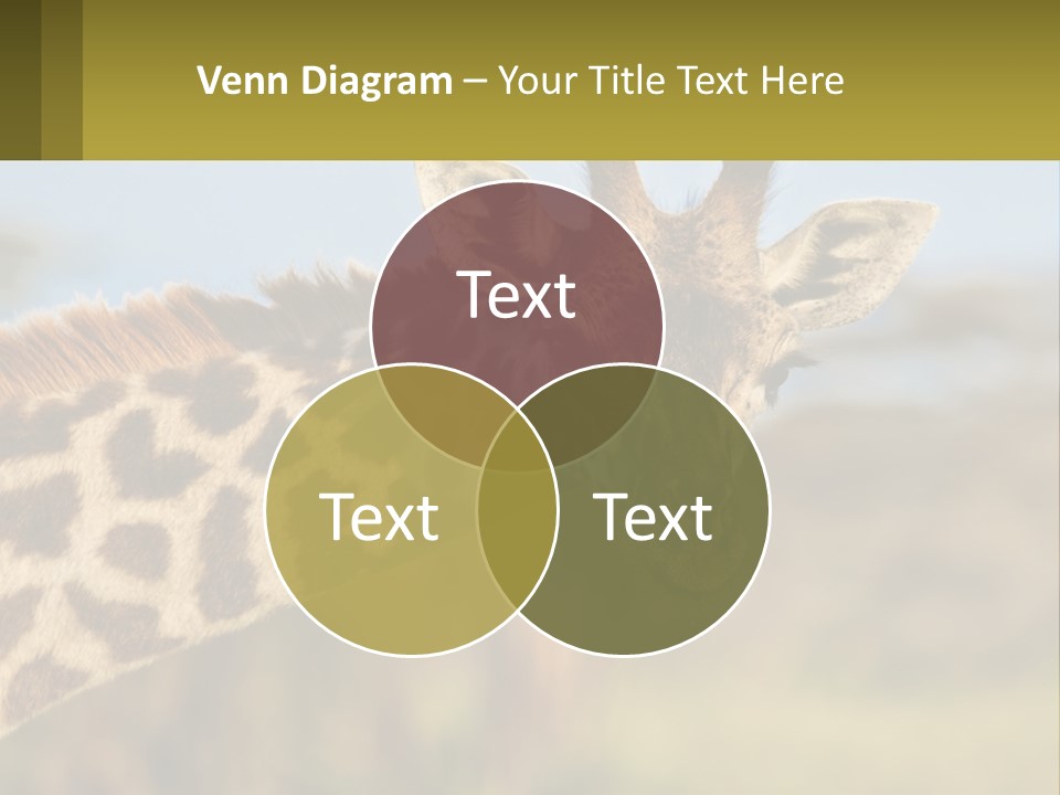 Energy Cold Unit PowerPoint Template