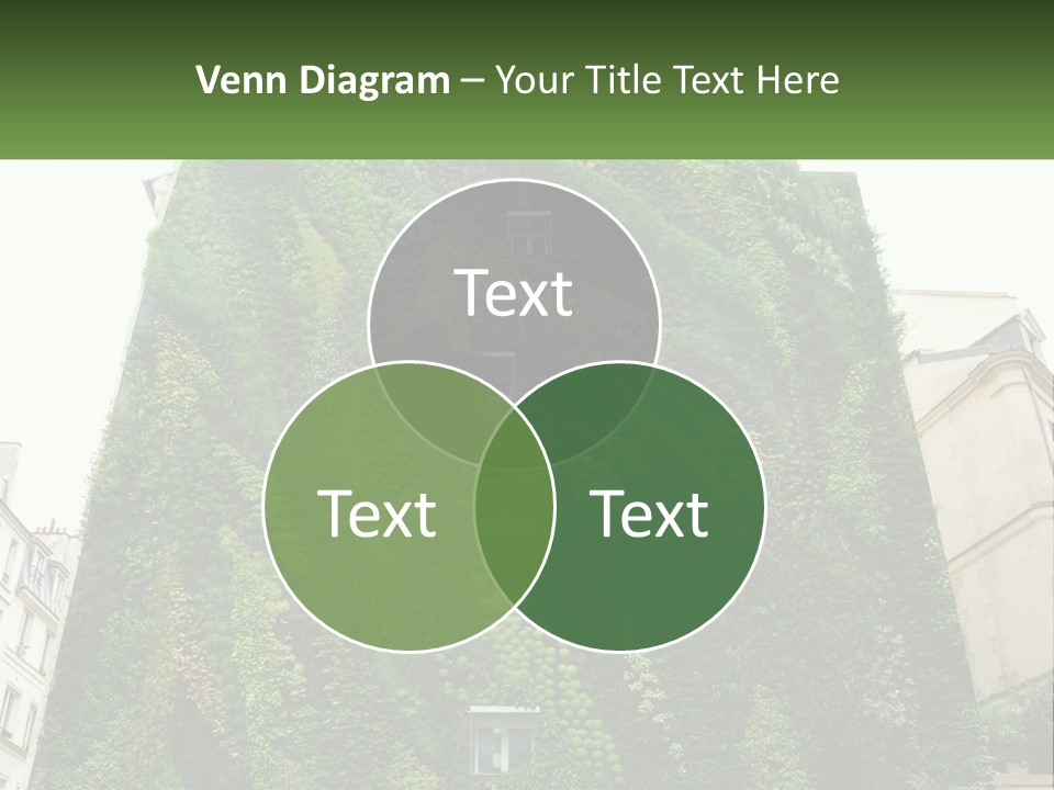 House Conditioner Part PowerPoint Template