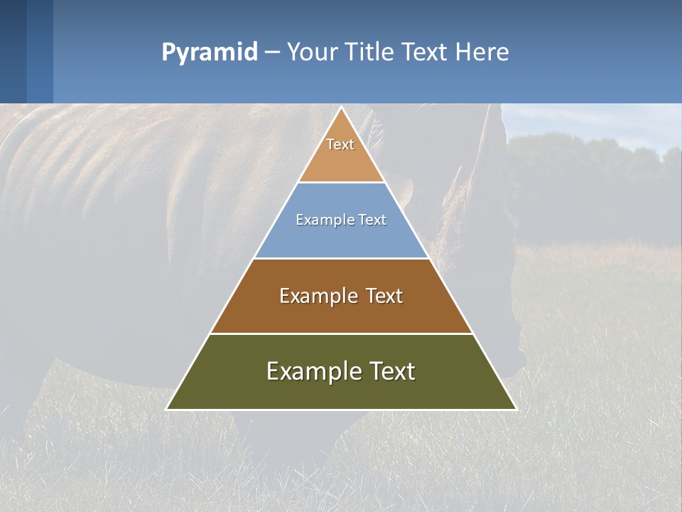 Cooling Cool Ventilation PowerPoint Template