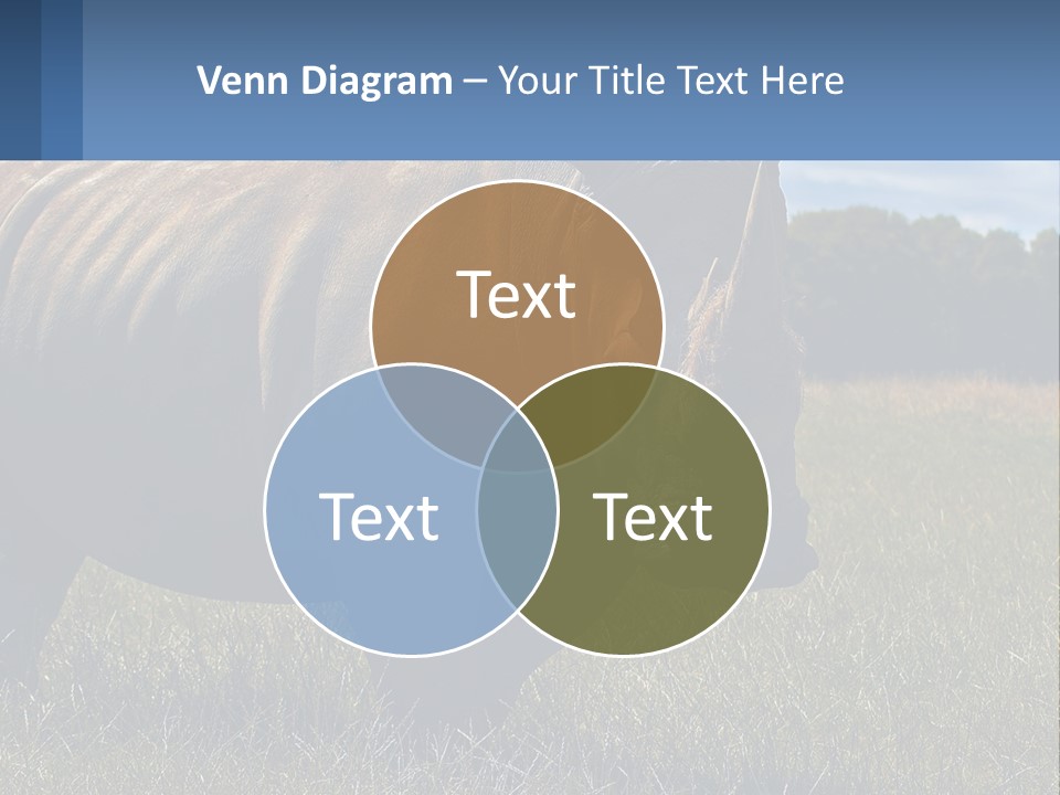 Cooling Cool Ventilation PowerPoint Template