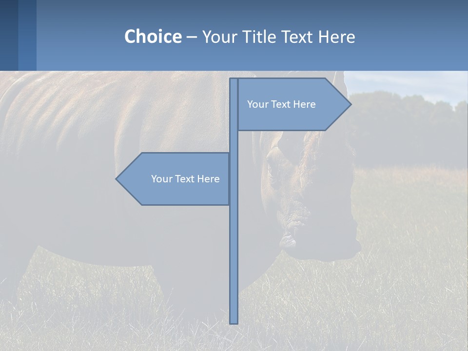 Cooling Cool Ventilation PowerPoint Template