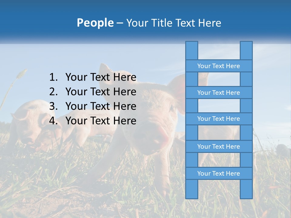 Temperature Equipment Cooling PowerPoint Template