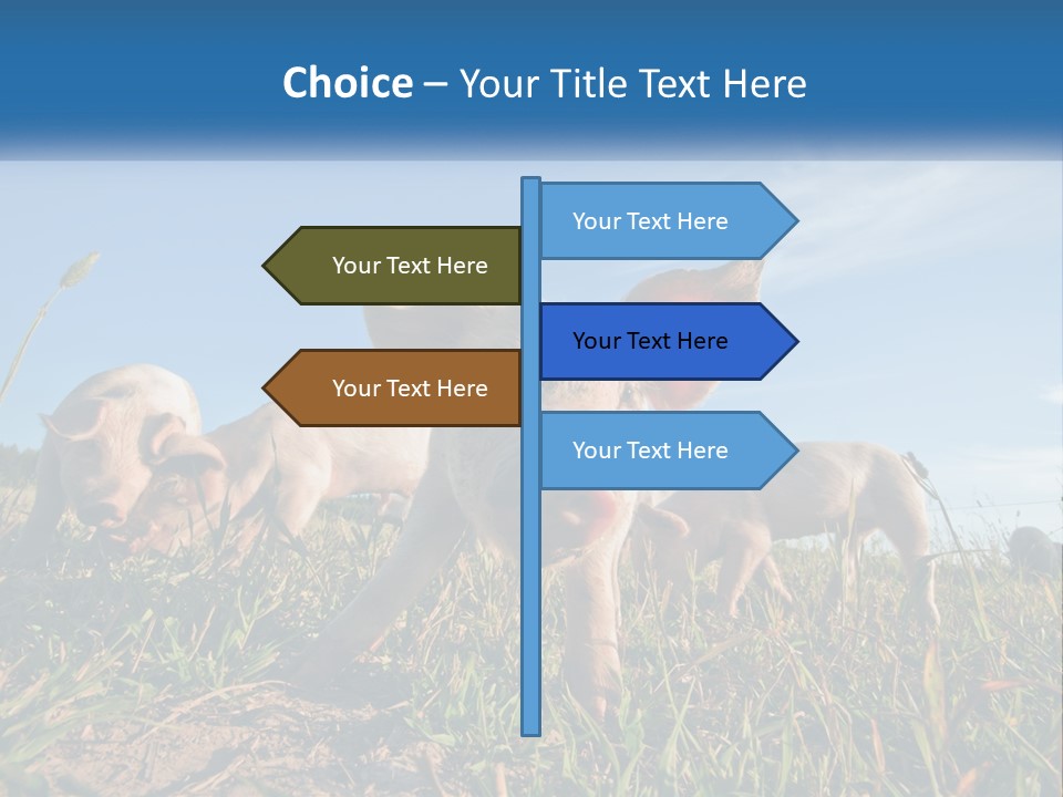 Temperature Equipment Cooling PowerPoint Template