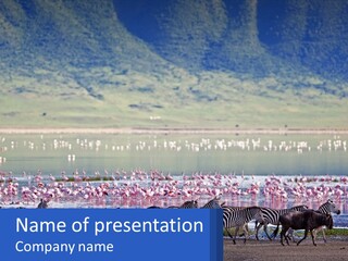 Climate White Ventilation PowerPoint Template