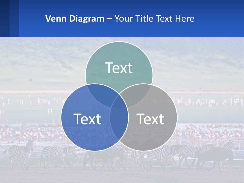 Climate White Ventilation PowerPoint Template