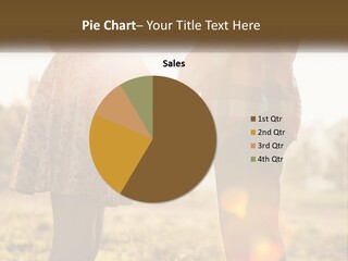 Electricity House Equipment PowerPoint Template