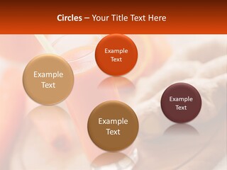 Ventilation Home Switch PowerPoint Template