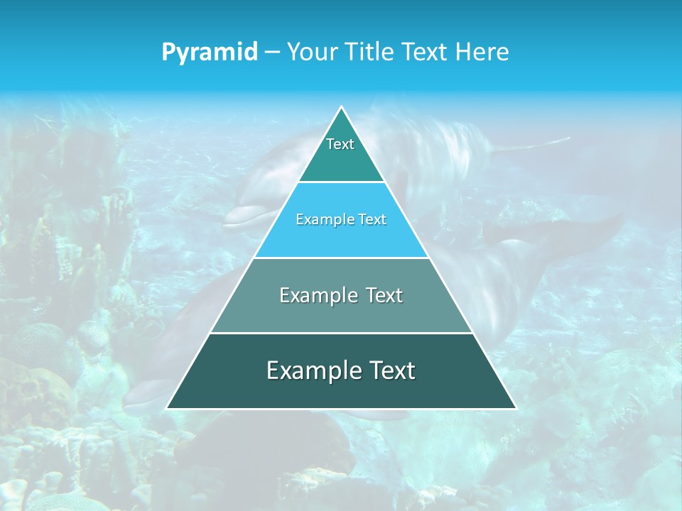 House Ventilation Condition PowerPoint Template
