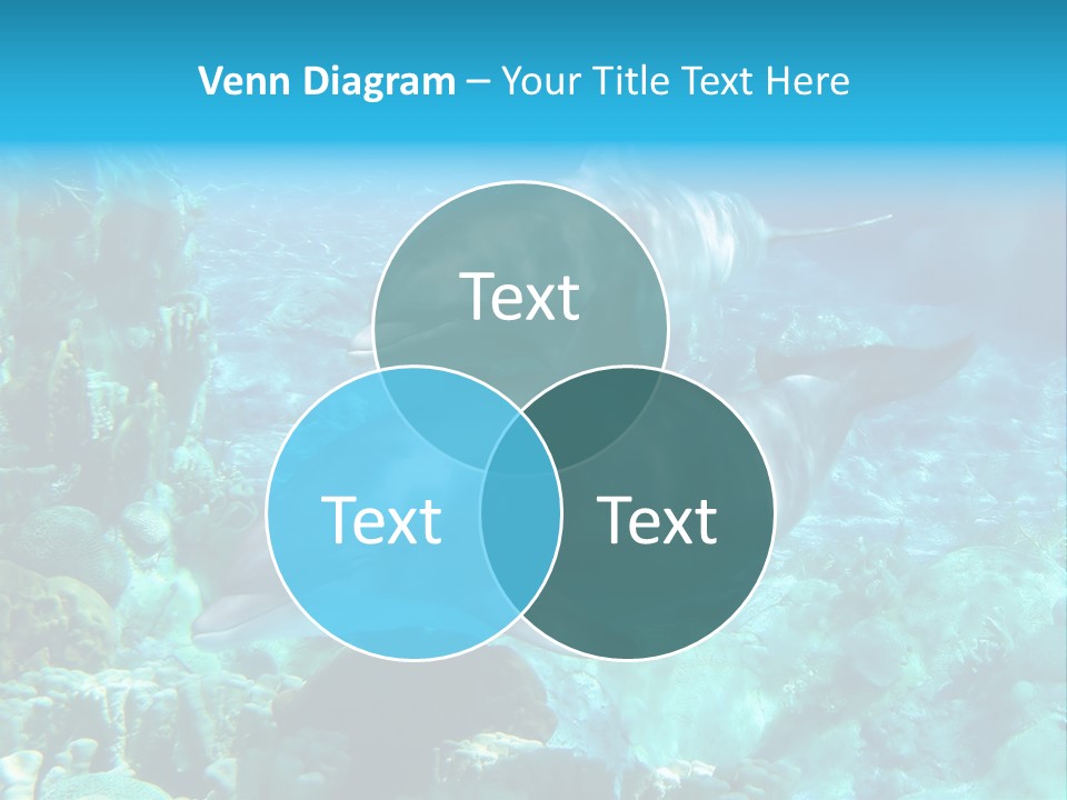 House Ventilation Condition PowerPoint Template