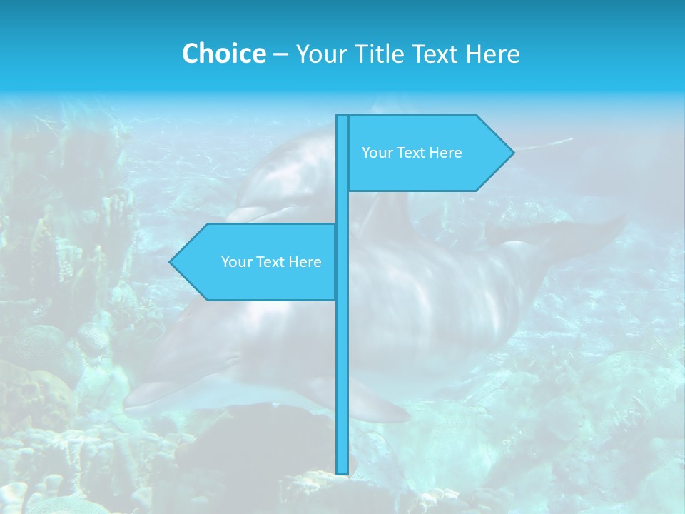 House Ventilation Condition PowerPoint Template