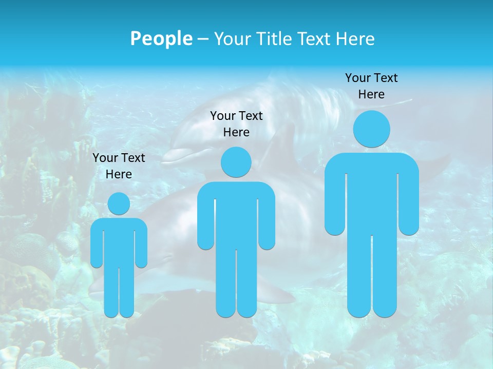 House Ventilation Condition PowerPoint Template
